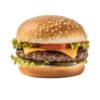 FIT Burger de Pui – 531 kcal